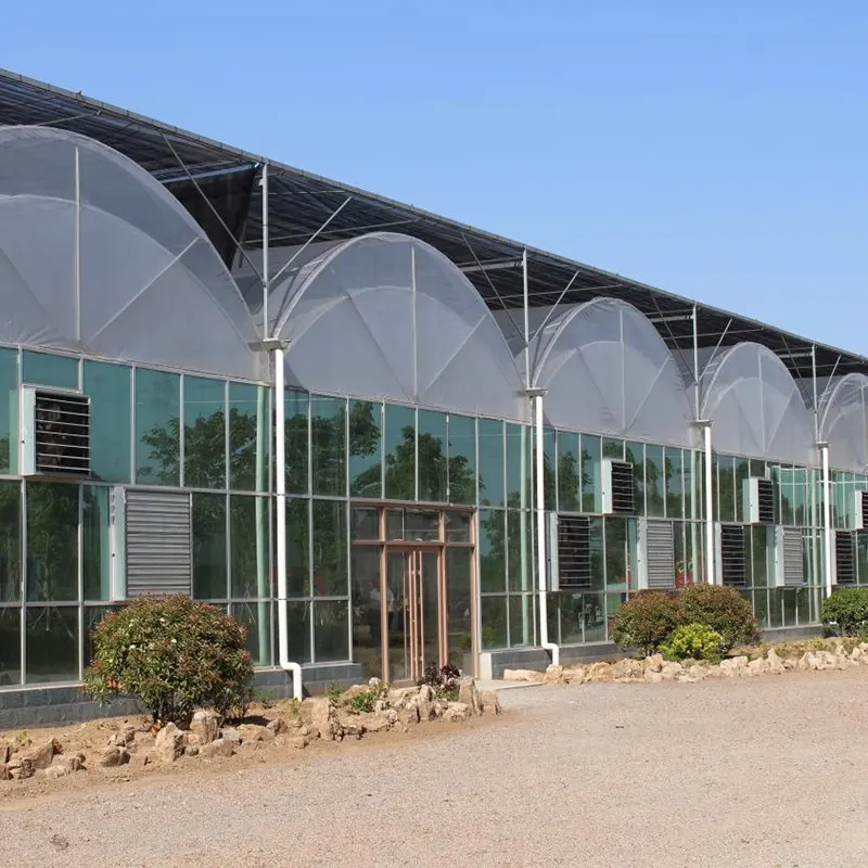 Dubbelskiktsfilm Multi-Span Greenhouse