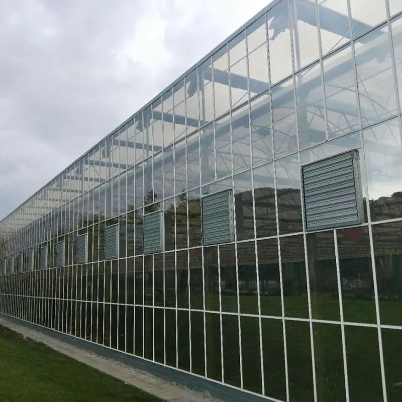 Ihålig PC Plate Multi-Span Greenhouse
