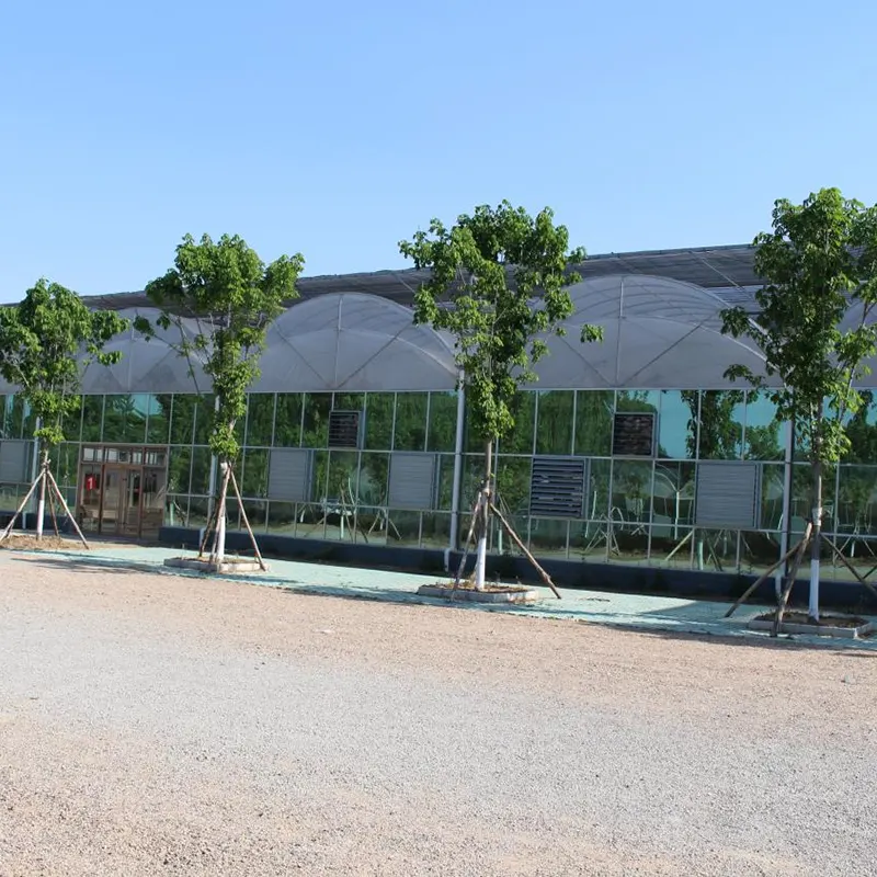 PE-Film Multi-Span Greenhouse