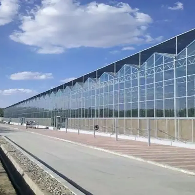 Science Education Greenhouse
