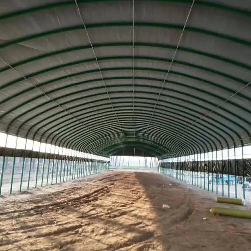 Dairy Cow Breeding Shed