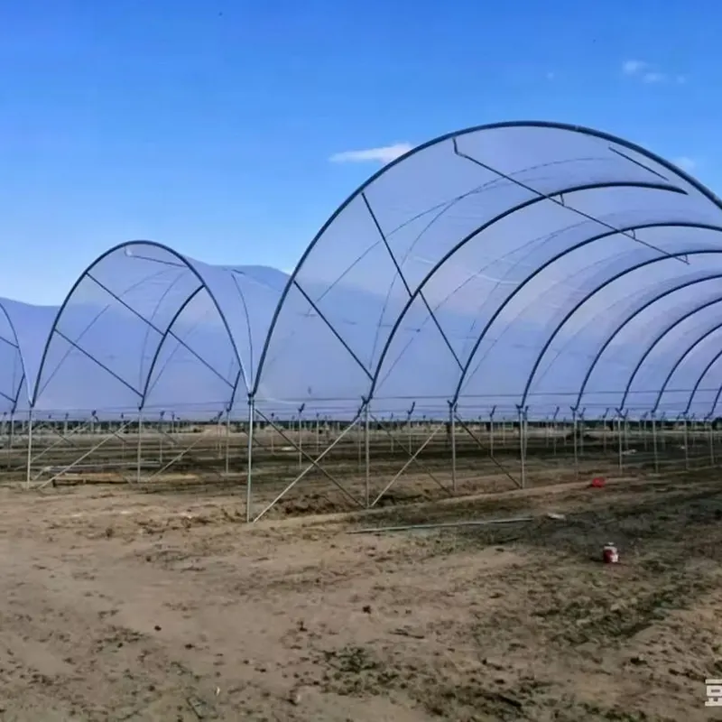 Y-Column Round-Arch Simple Multi-Span Greenhouse