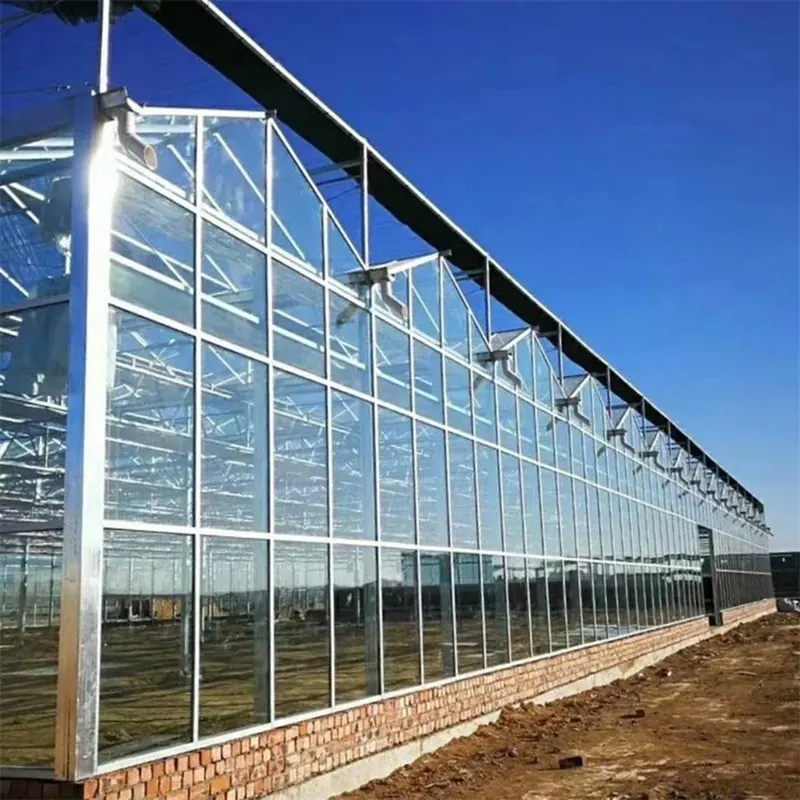 Solid PC Plate Multi-Span Greenhouse