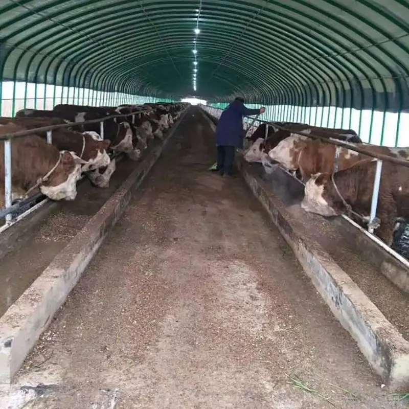 Livestock And Poultry Breeding Shed