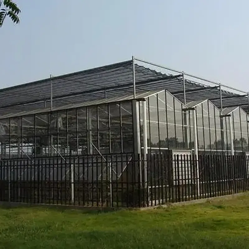 Double-Slope Venlo-Type Multi-Span Greenhouse