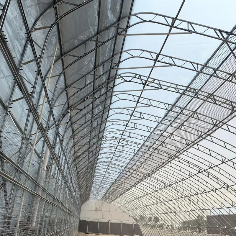 Prefabricated Double-Film Single-Slope Solar Greenhouse