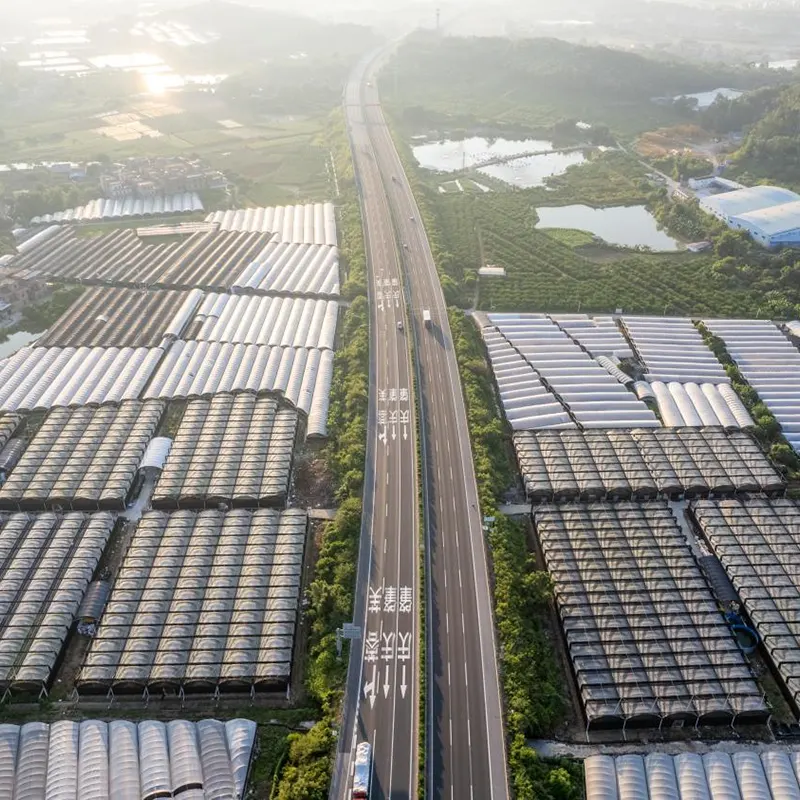 Fritid-och-sightseeing Multi-Span Greenhouse