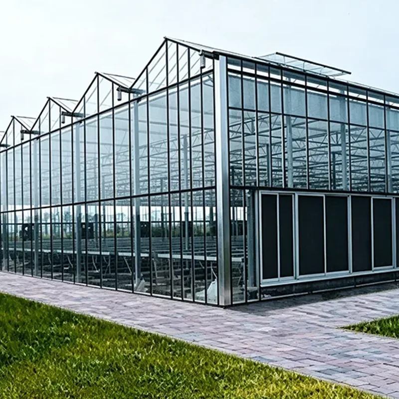 Low-E Glass Multi-Span Växthus