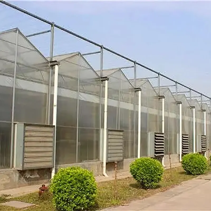 Multi-Ridge Venlo-Type Multi-Span Växthus