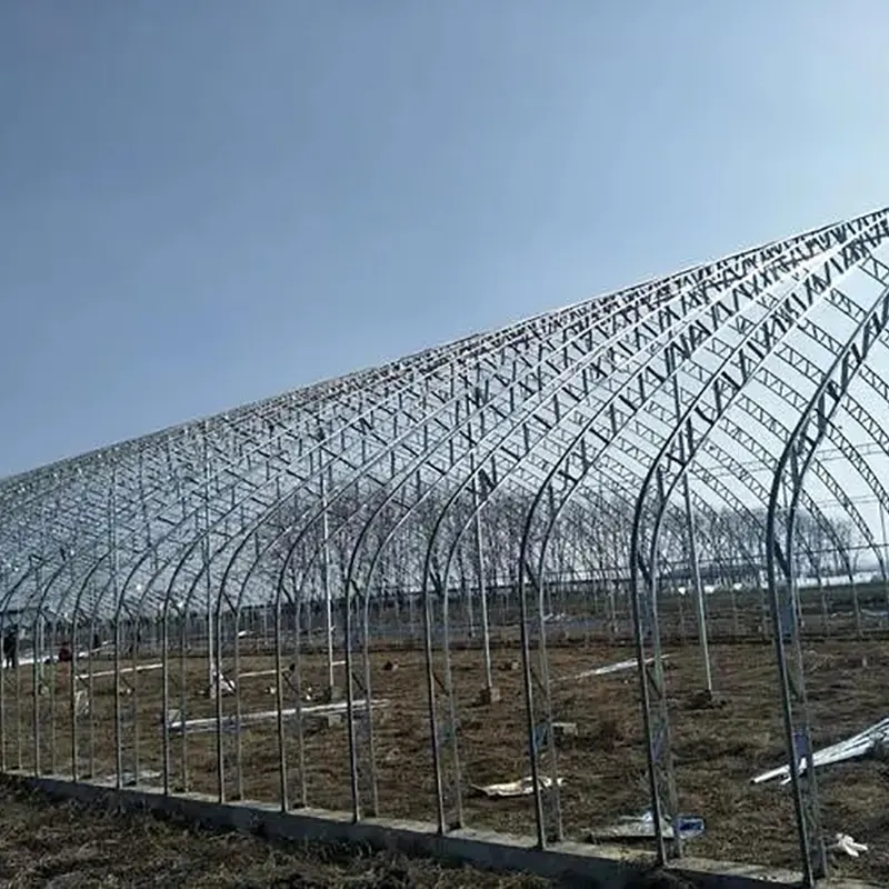 Prefabricerat dubbelfilmsbågsolarväxthus