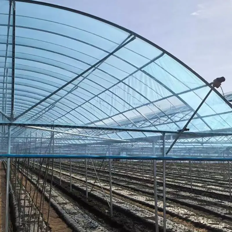 Round-Arch Enkelt Multi-Span växthus