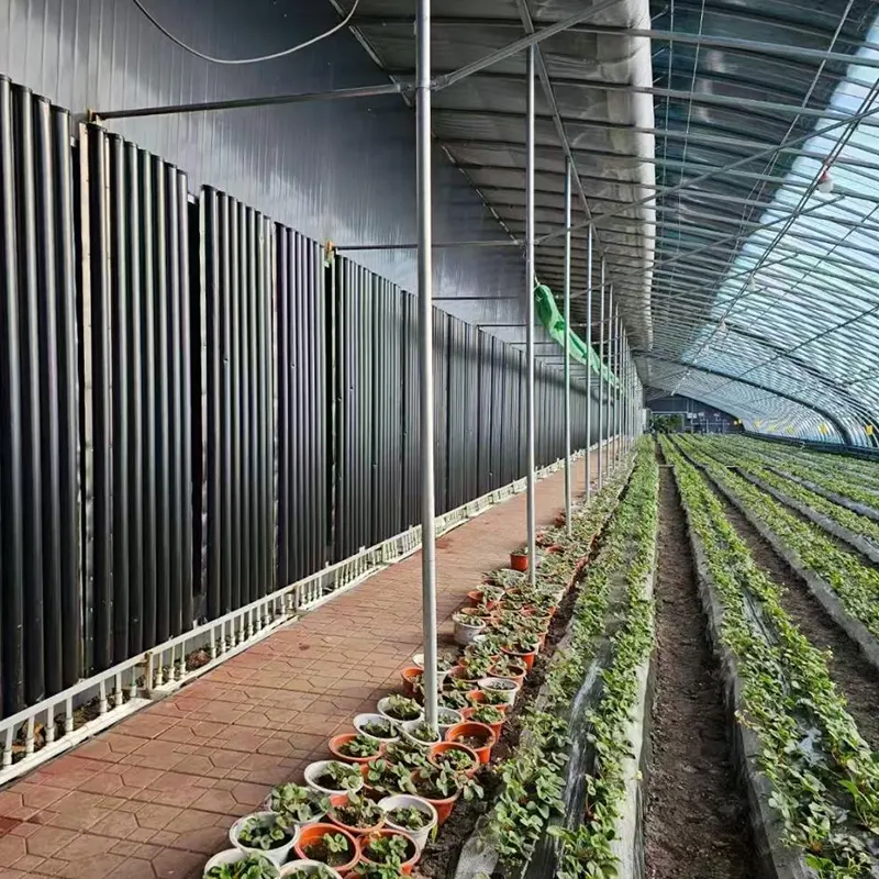 Semi-Slope Värmelagring Solar Greenhouse