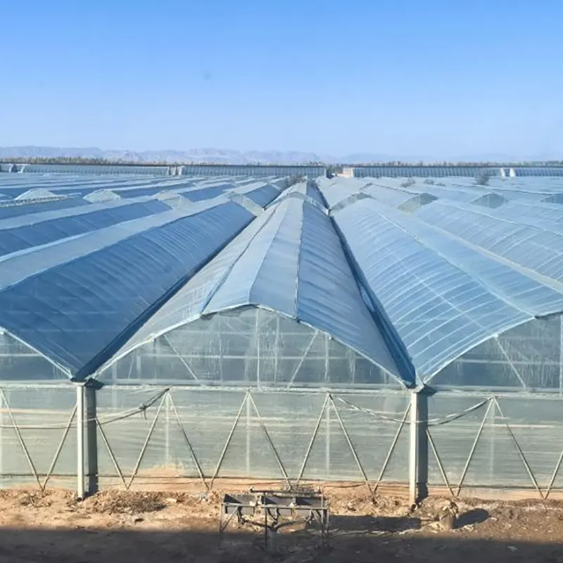 Enkelskiktsfilm Multi-Span Greenhouse