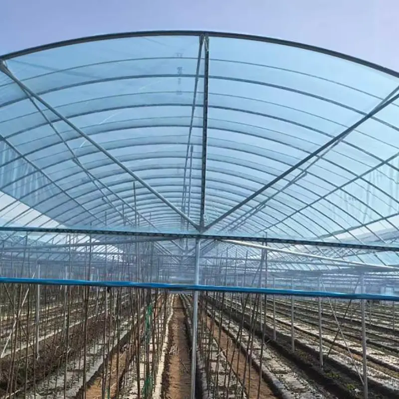 Small-Span Round-Arch Multi-Span Växthus